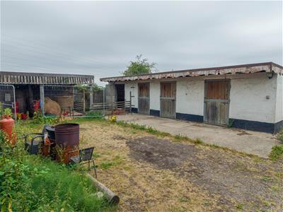 Picture 22
